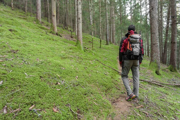 Een trekker loopt solo door het bos in een bewolkte dag — Stockfoto