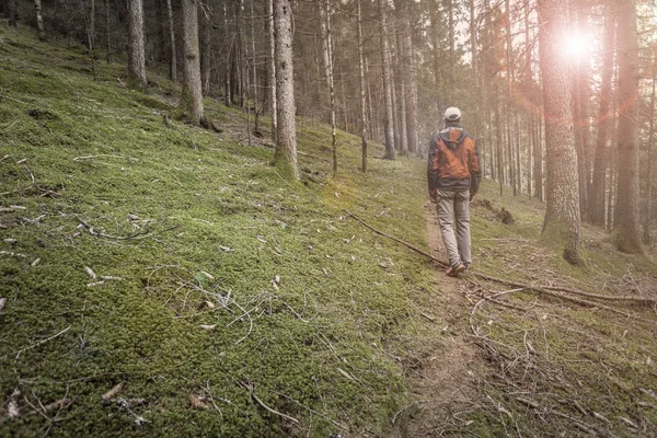 Een trekker loopt solo door het bos in een bewolkte dag — Stockfoto
