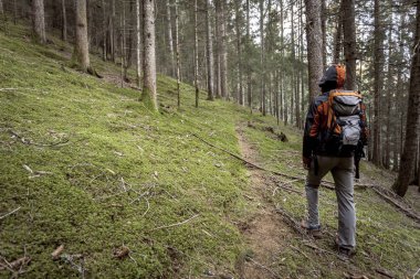 Bulutlu bir günde ormanda tek başına yürüyen bir yürüyüşçü.