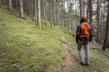 Bulutlu bir günde ormanda tek başına yürüyen bir yürüyüşçü.