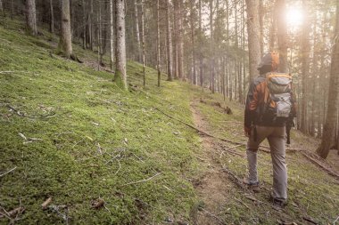 Bulutlu bir günde ormanda tek başına yürüyen bir yürüyüşçü.