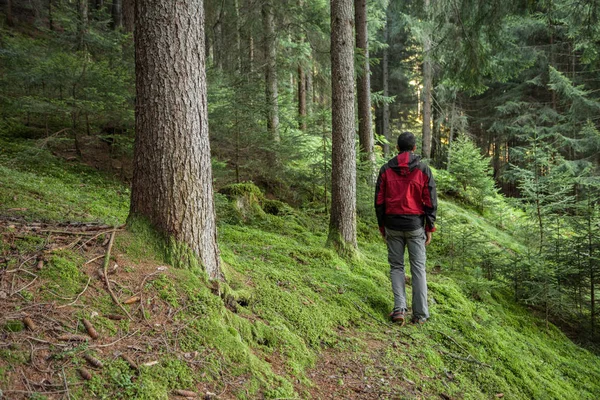 Wędrowiec spacerujący samotnie pośród lasu w pochmurny dzień — Zdjęcie stockowe