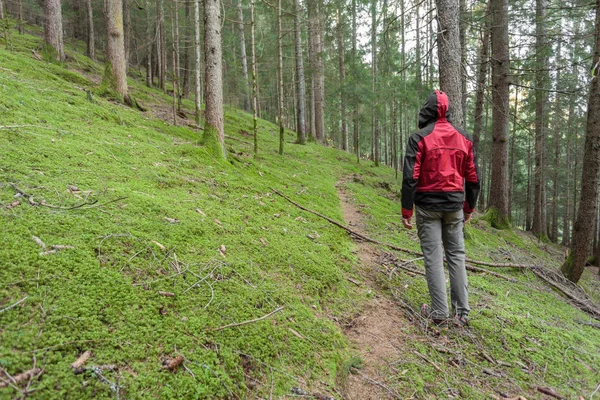 Randonneur Promène Seul Dans Forêt Par Une Journée Nuageuse — Photo