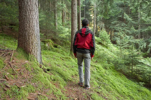 En vandrare vandrar ensam bland skogen i en molnig dag — Stockfoto