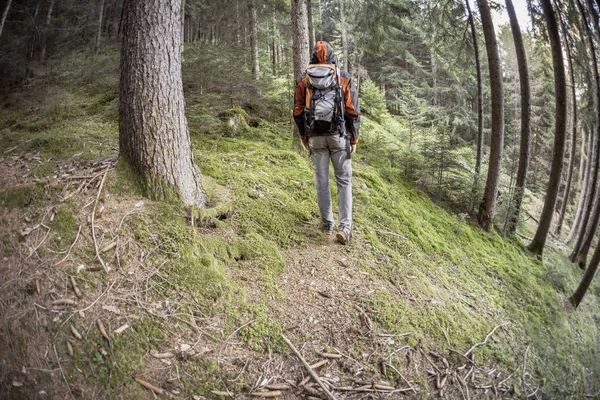 Un caminante caminando solo entre el bosque en un día nublado —  Fotos de Stock