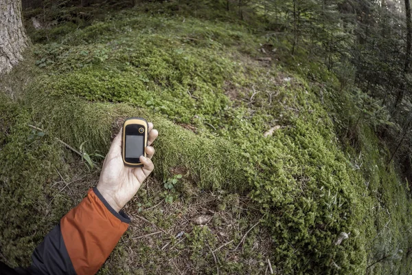 Путешественник с помощью gps среди леса в пасмурный день — стоковое фото