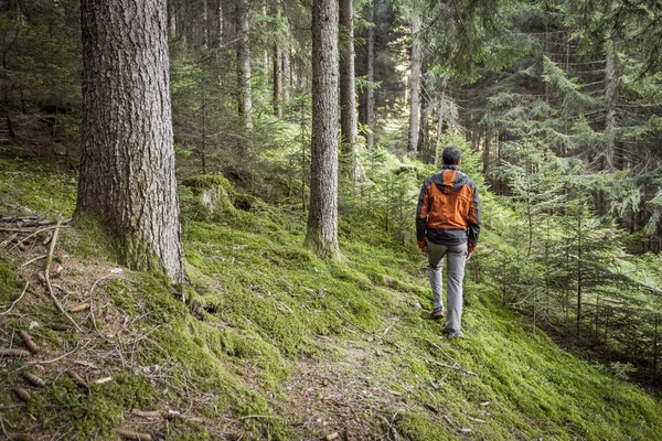 Egy túrázó egyedül sétál az erdőben egy felhős napon. — Stock Fotó