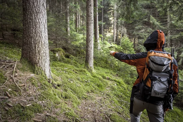 Een trekker loopt solo door het bos in een bewolkte dag — Stockfoto