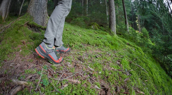 Ein Wanderer, der an einem bewölkten Tag allein durch den Wald wandert — Stockfoto