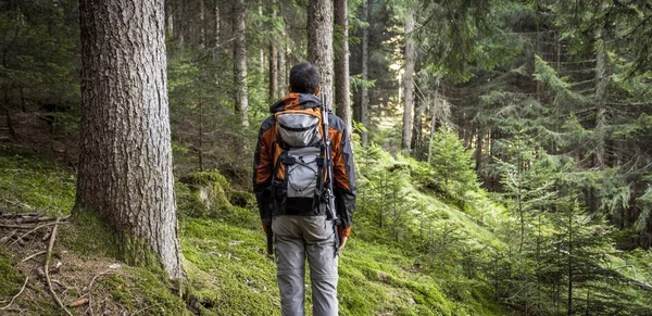 Un randonneur se promène seul dans la forêt par une journée nuageuse — Photo