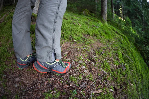 Ein Wanderer, der an einem bewölkten Tag allein durch den Wald wandert — Stockfoto