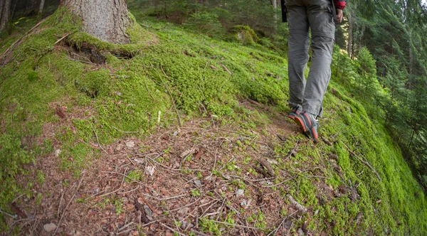 Un caminante caminando solo entre el bosque en un día nublado —  Fotos de Stock