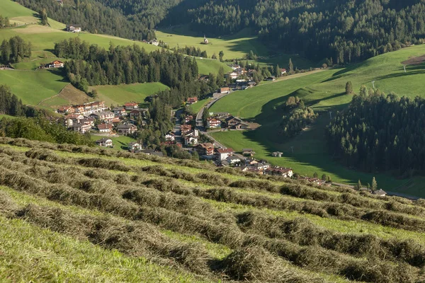 Rural scene during hay harvest in Villnoess in Dolomites