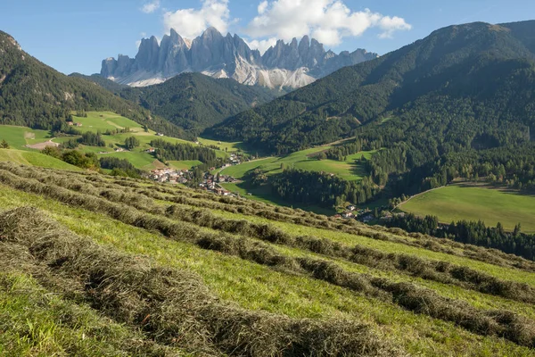 Escena rural durante la cosecha de heno en Villnoess en Dolomitas — Foto de Stock