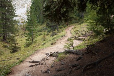 içine Valle di Funes uzun huzurlu bir dağ yolu yürüyüş