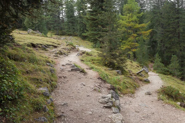 Un seul sentier de montagne se divise en deux directions différentes. C'est... — Photo