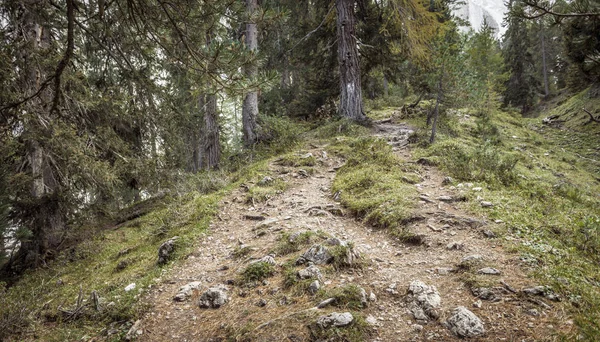 Caminando por un largo camino de montaña en Valle di Funes en el — Foto de Stock