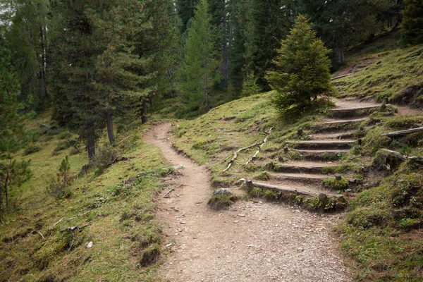 Un seul sentier de montagne se divise en deux directions différentes. C'est... — Photo