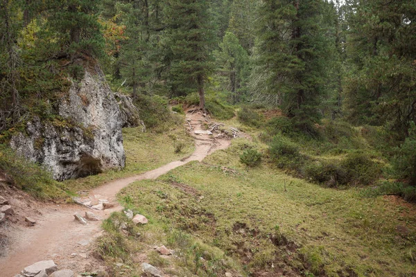 Caminando por un largo camino de montaña tranquilo en Valle di Funes en los Dolomitas italianos — Foto de Stock