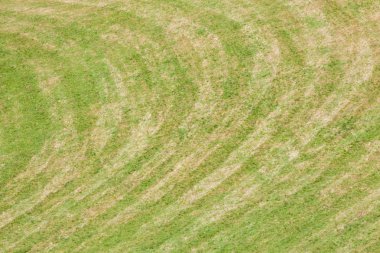 bir geniş yeşil dağ mera Val di Funes, İtalya