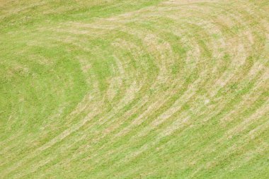 bir geniş yeşil dağ mera Val di Funes, İtalya
