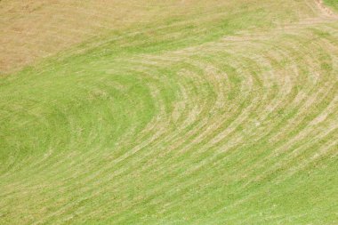 bir geniş yeşil dağ mera Val di Funes, İtalya