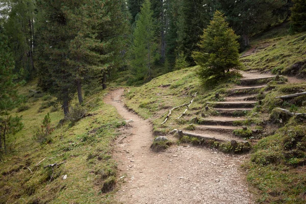 Een enkele bergpad wordt gesplitst in twee verschillende richtingen. Het is een herfst bewolkte dag. — Stockfoto