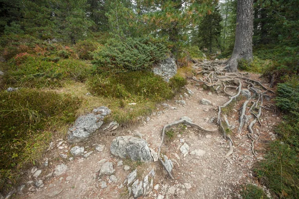 Caminando por un largo camino de montaña tranquilo en Valle di Funes en los Dolomitas italianos — Foto de Stock