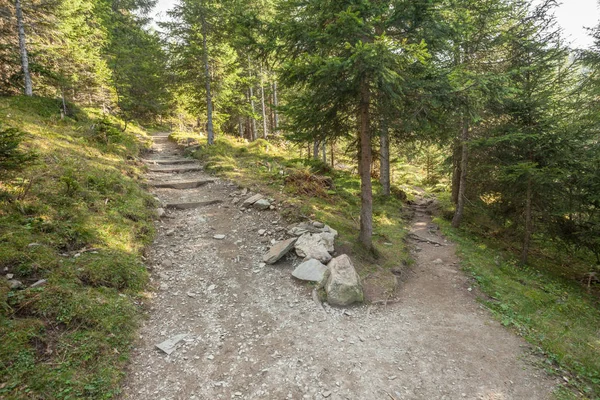 Een enkel bergpad splitst zich in twee verschillende richtingen. — Stockfoto