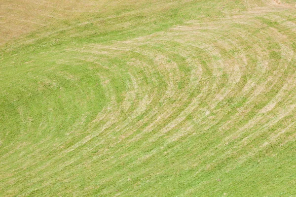 bir geniş yeşil dağ mera Val di Funes, İtalya