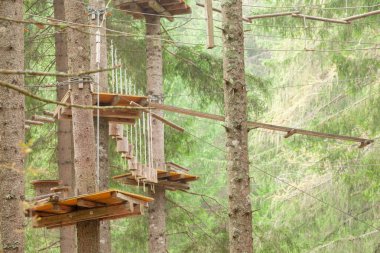 Ağaç uzun Dolomites, İtalya bir n İtalyan ormanda içinde donanımlı bir rota tırmanma.