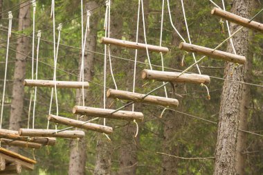 Ağaç uzun Dolomites, İtalya bir n İtalyan ormanda içinde donanımlı bir rota tırmanma.