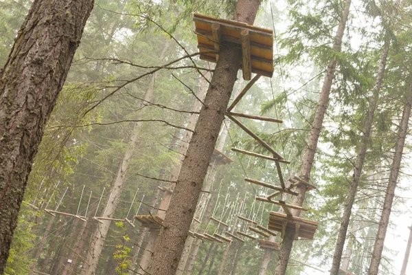 Strom šplhá dlouho vybavenou trasou uvnitř n italských lesů v Dolomitech, Itálie. — Stock fotografie