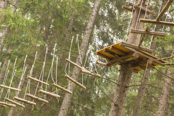 Ağaç uzun bir n İtalyan ormanda içinde donanımlı bir rota tırmanma