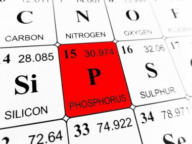 fosfor elementlerin periyodik tablosu üzerinde