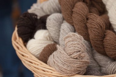 Her yıl Ekim ayında Val di Funes St Magdalena küçük İtalyan kilise yanında yerel kutlama 