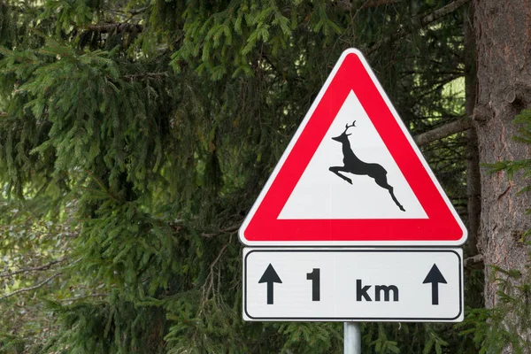 Warning road sign for animal presence long an Italian mountain s — Stock Photo, Image