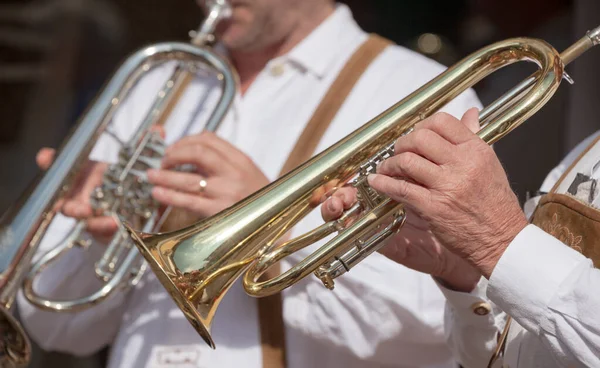 Val Isarco 'daki yerel bir sonbahar kutlamasında tipik kostümlü müzisyen. )