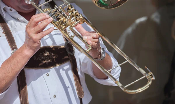 Val Isarco 'daki yerel bir sonbahar kutlamasında tipik kostümlü müzisyen. )