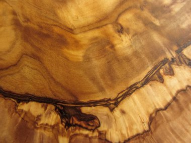 zeytin ağacının dokusu