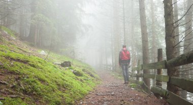Sisli bir günde ormanda yürüyen bir adam.