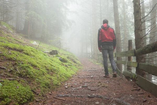 Мужчина Шел Лесу Туманный День — стоковое фото