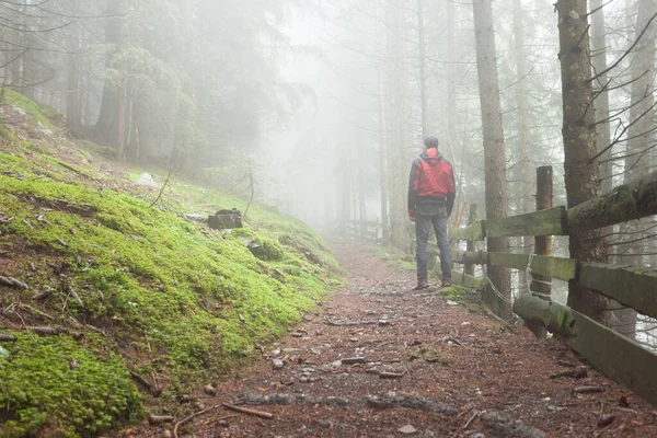 Egy Férfi Sétál Erdőben Egy Ködös Napon — Stock Fotó