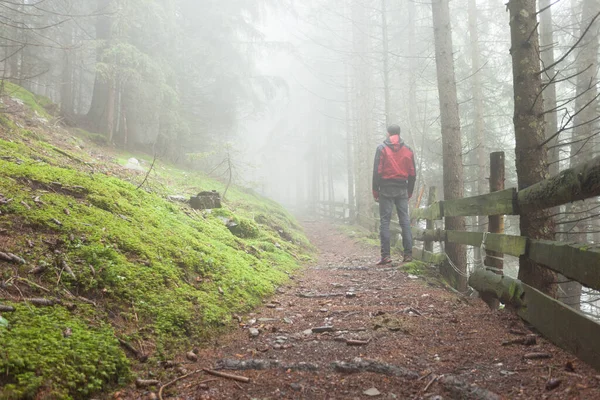 Man Går Skog Dimmig Dag — Stockfoto