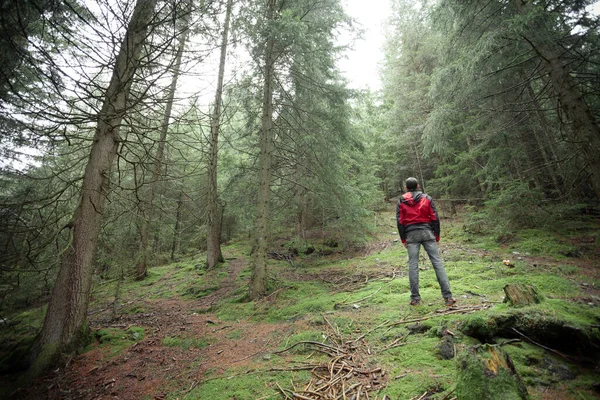 Een Man Die Alleen Een Bos Loopt Een Mistige Dag — Stockfoto