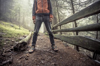 Sisli bir günde ormanda tek başına yürüyen bir adam.
