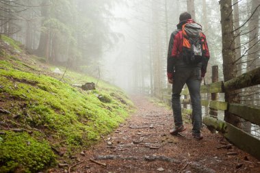 Sisli bir günde ormanda tek başına yürüyen bir adam.