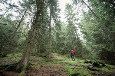 Sisli bir günde ormanda tek başına yürüyen bir adam.