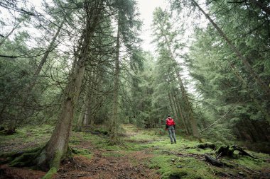 Sisli bir günde ormanda tek başına yürüyen bir adam.