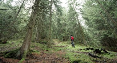 Sisli bir günde ormanda tek başına yürüyen bir adam.